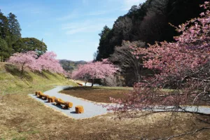 明覚・桃木農村公園(ときがわ町のHPより)