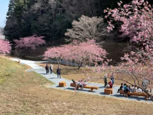 明覚・桃木農村公園(ときがわ町のHPより)
