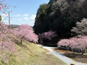 明覚・桃木農村公園(ときがわ町のHPより)