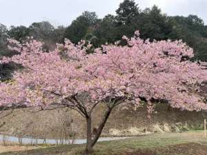 明覚・桃木農村公園(ときがわ町のHPより)