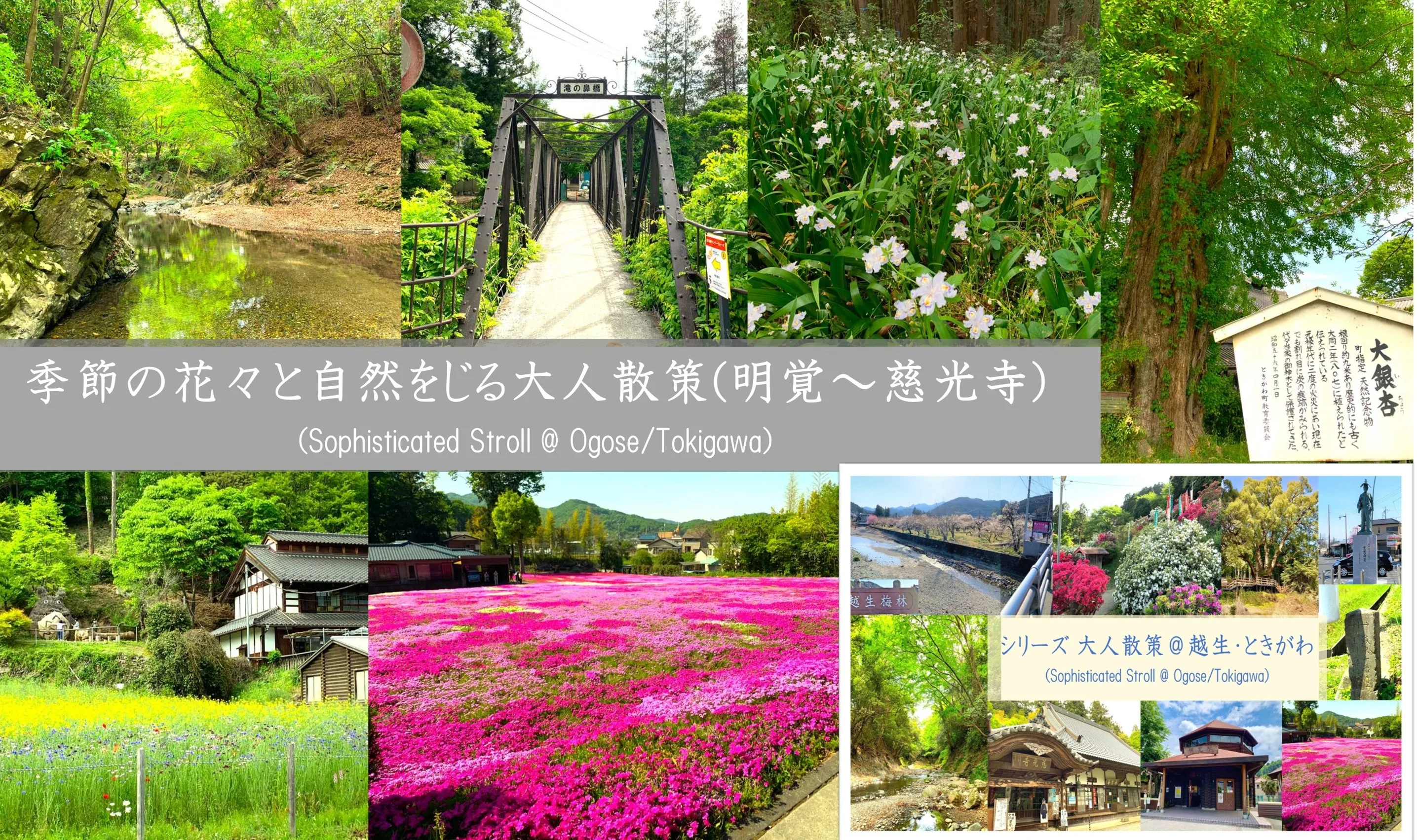 シリーズ 大人散策＠越生・ときがわ　明覚～慈光寺編