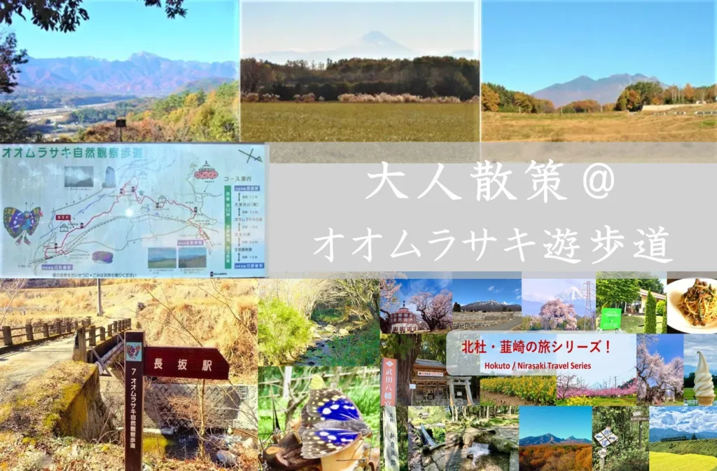 北杜・韮崎シリーズ 大人散策＠オオムラサキ遊歩道