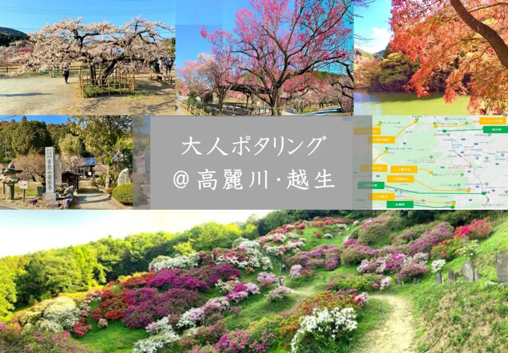 大人ポタリング＠越生・高麗川