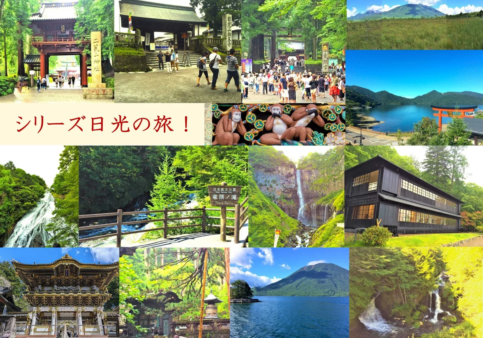 日光シリーズ