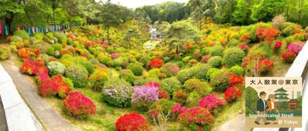 塩船観音 ツツジ