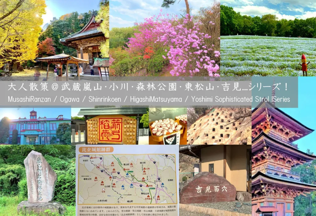 武蔵嵐山・小川・森林公園・東松山・吉見シリーズ