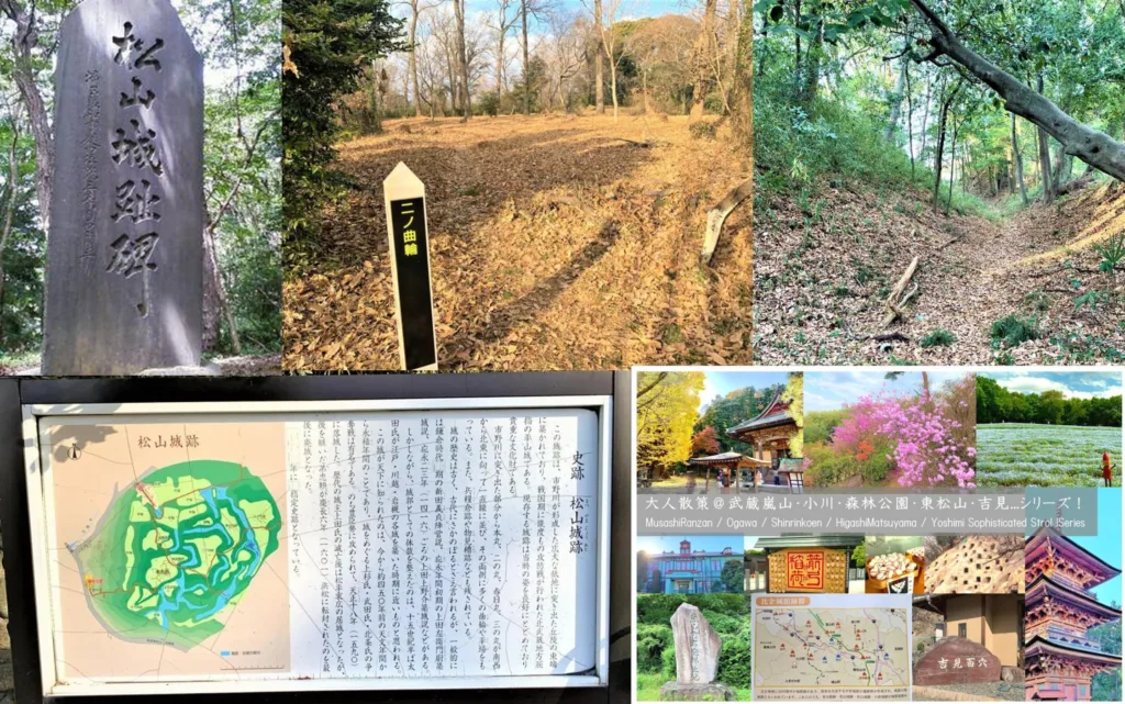 武蔵嵐山・小川・森林公園・東松山・吉見シリーズ 松山城(武蔵国)