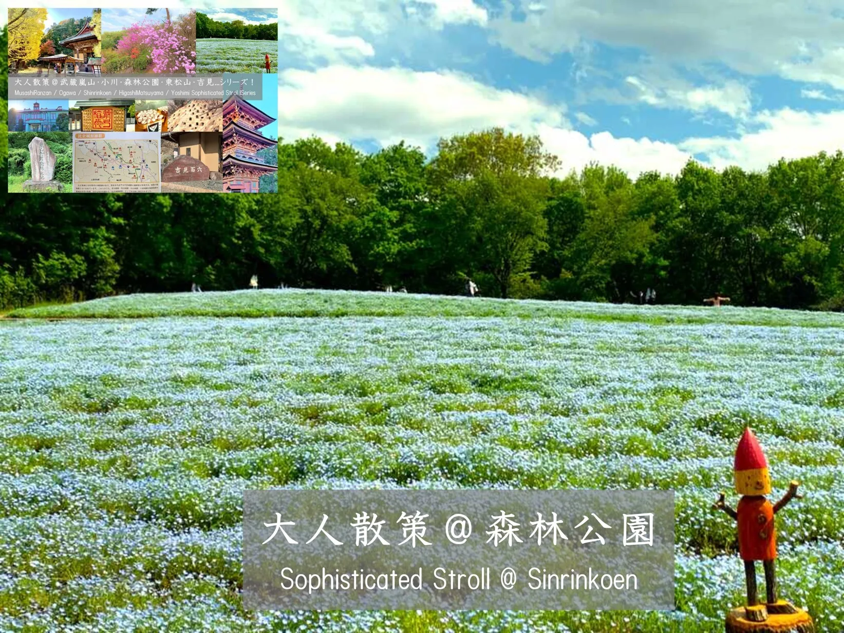 武蔵嵐山・小川・森林公園・東松山・吉見シリーズ 森林公園