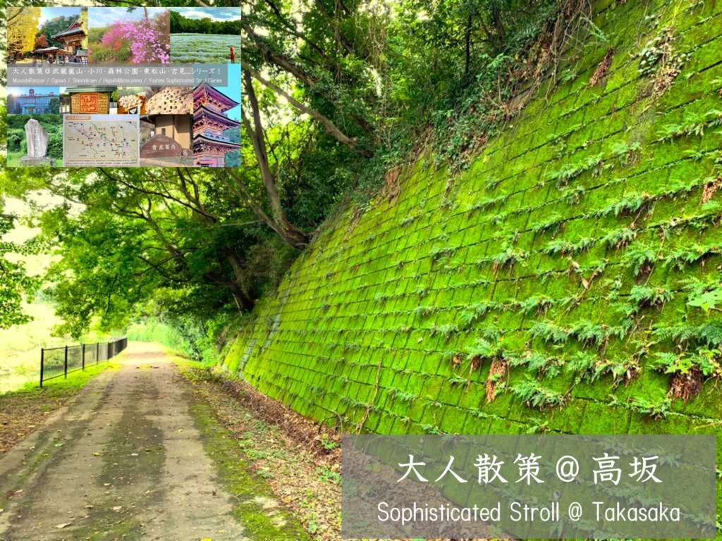 武蔵嵐山・小川・森林公園・東松山・吉見シリーズ 高坂
