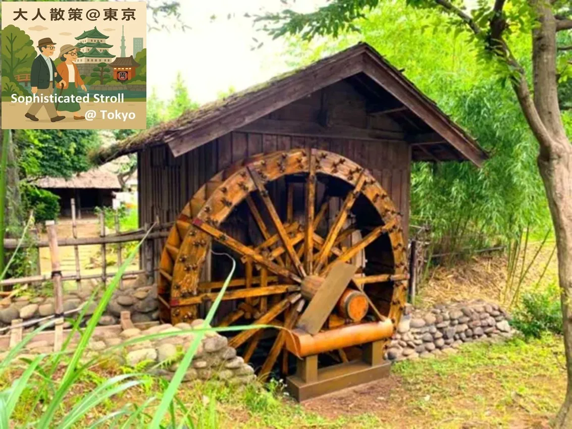 大人散策　花小金井～小平