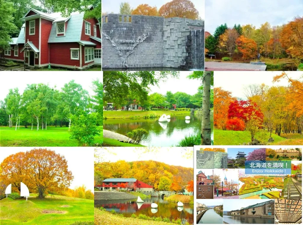 札幌郊外の大人散策・ポタリング(芸術の森・真駒内公園等)