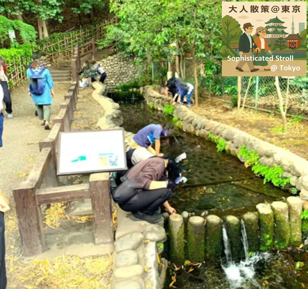 野川・国分寺崖線 武蔵国分寺