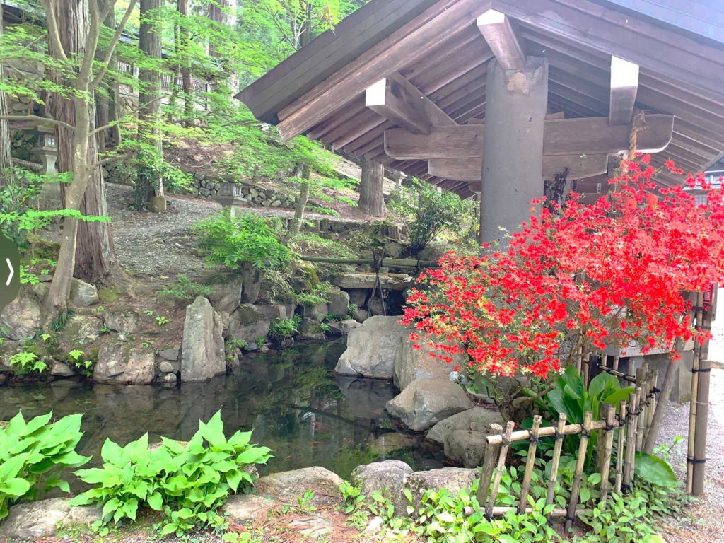 飛騨山王宮 日枝神社　手水舎脇の池