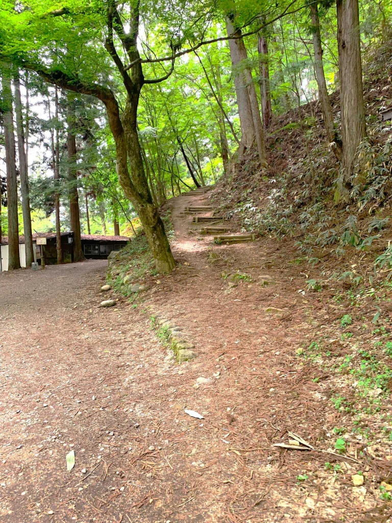 高山城 (中段屋形へ)