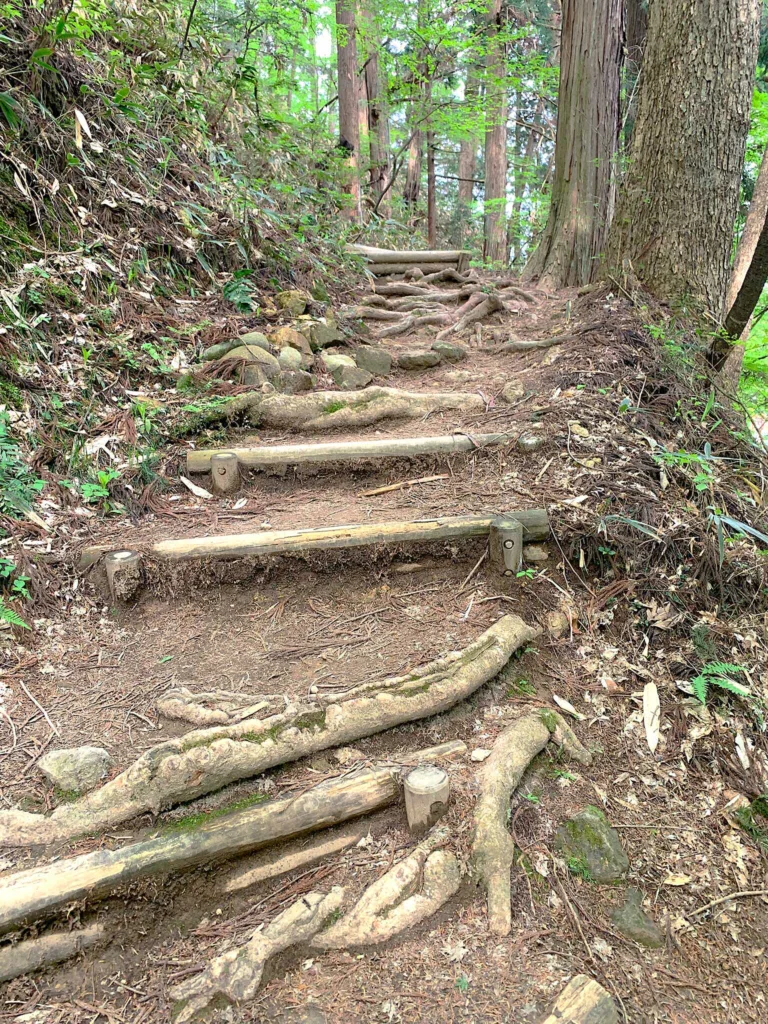高山城 (中段屋形へ)