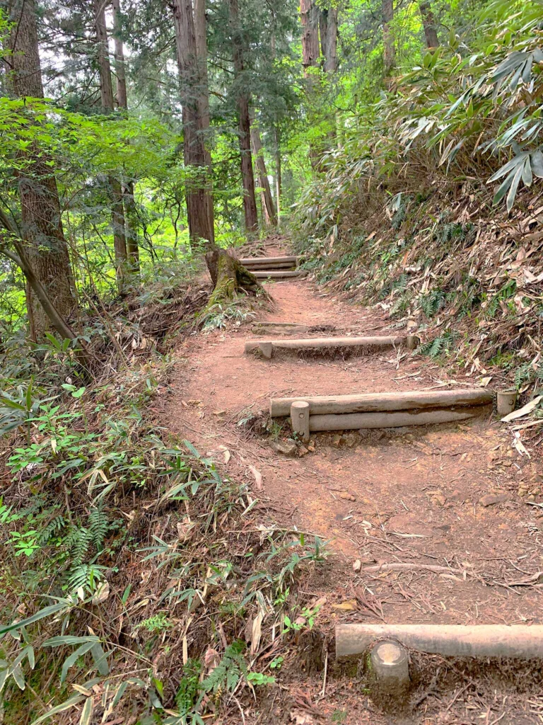 高山城 (中段屋形へ)