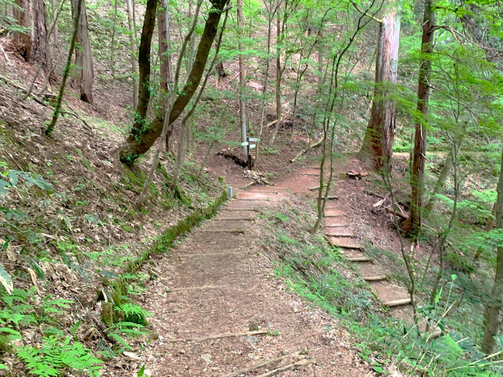 高山城(中段屋形から本丸で、ちょっと寄り道:二の丸からの合流ポイントで、登ってくる道は搦手の道?)