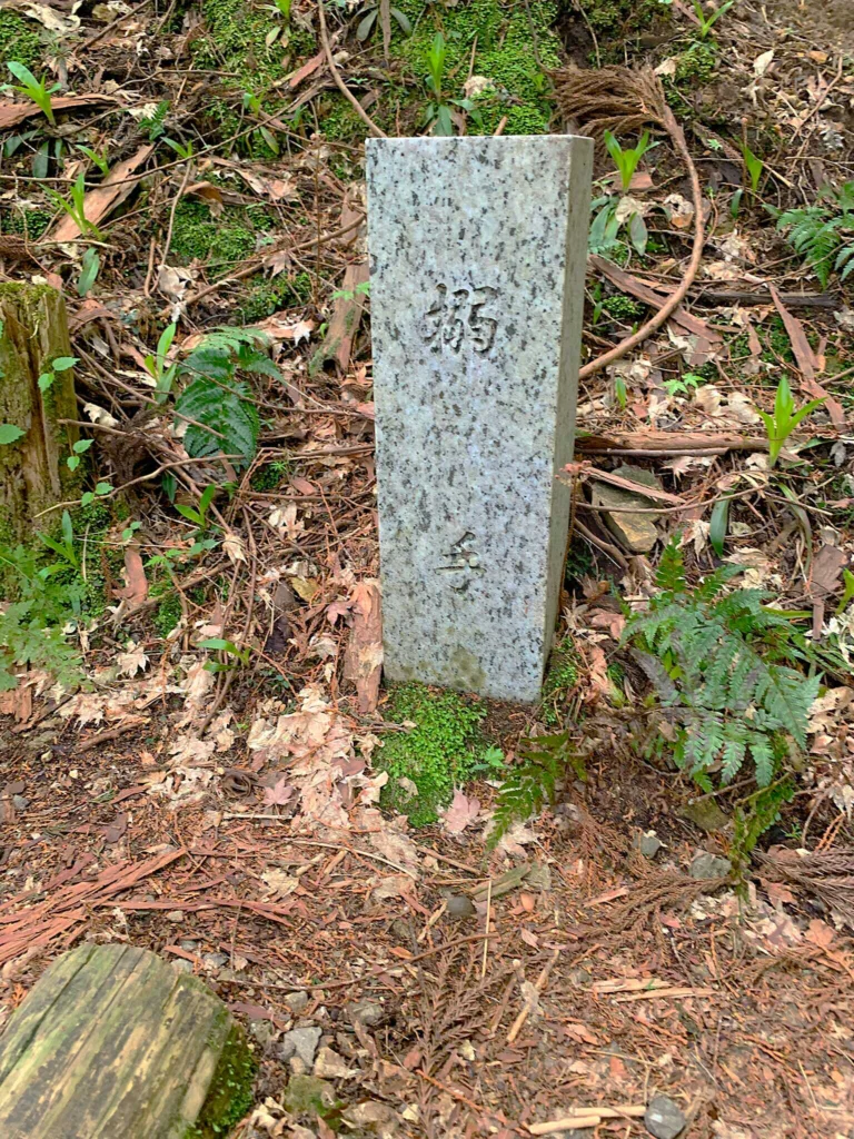 高山城(中段屋形から本丸で、ちょっと寄り道:二の丸からの合流ポイントで、搦手の道?)