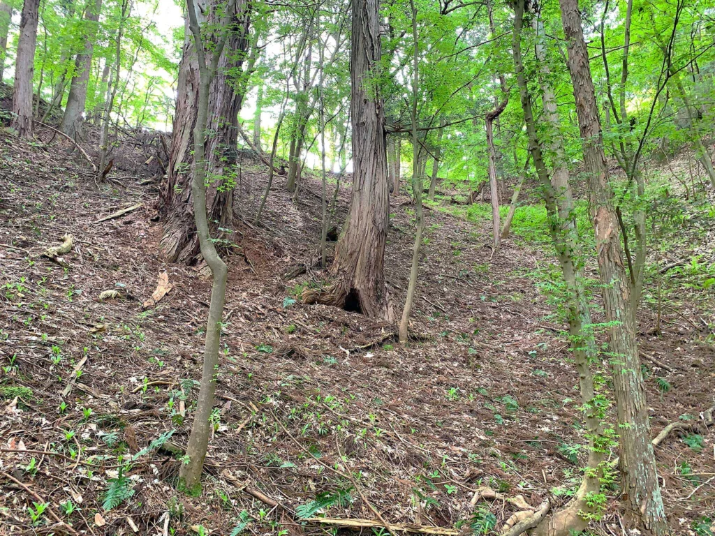 高山城(中段屋形から本丸で、ちょっと寄り道:二の丸からの合流ポイント・搦手の道?から本丸方面)