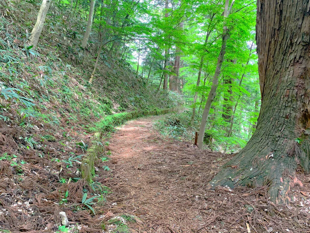 高山城(中段屋形から本丸で、ちょっと寄り道:二の丸からの合流ポイント)
