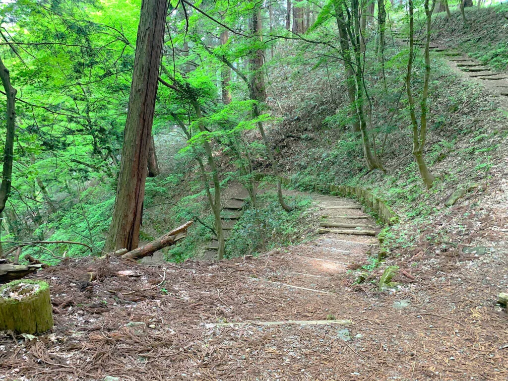 高山城(中段屋形から本丸で、ちょっと寄り道:二の丸からの合流ポイントで、登ってくる道は搦手の道?)