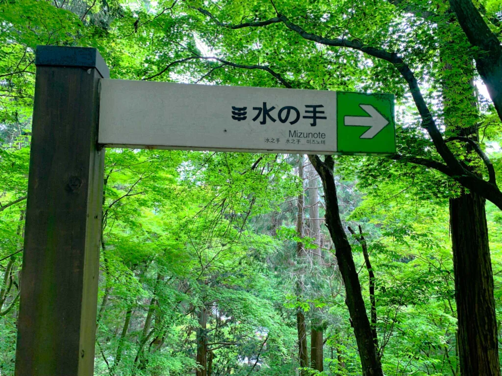 高山城 東北曲輪跡の水の手