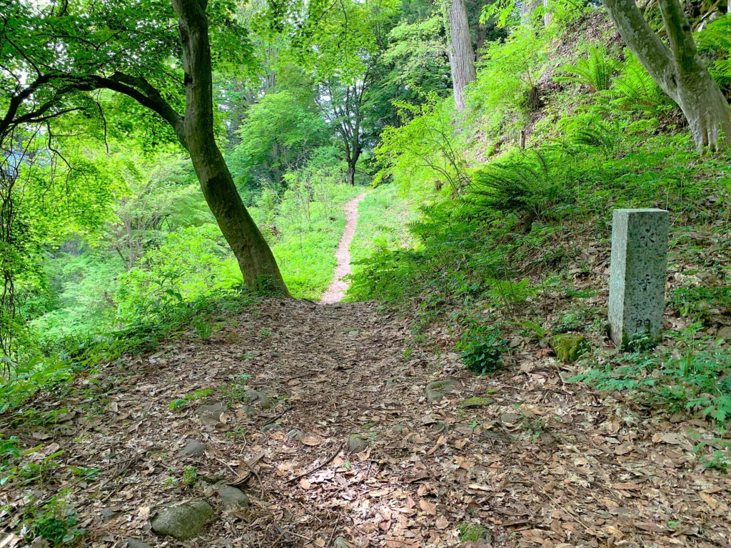 高山城 東北曲輪跡の水の手
