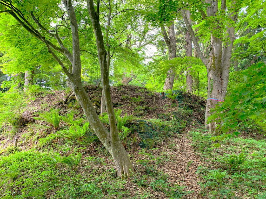 高山城 東北曲輪跡から本丸方面