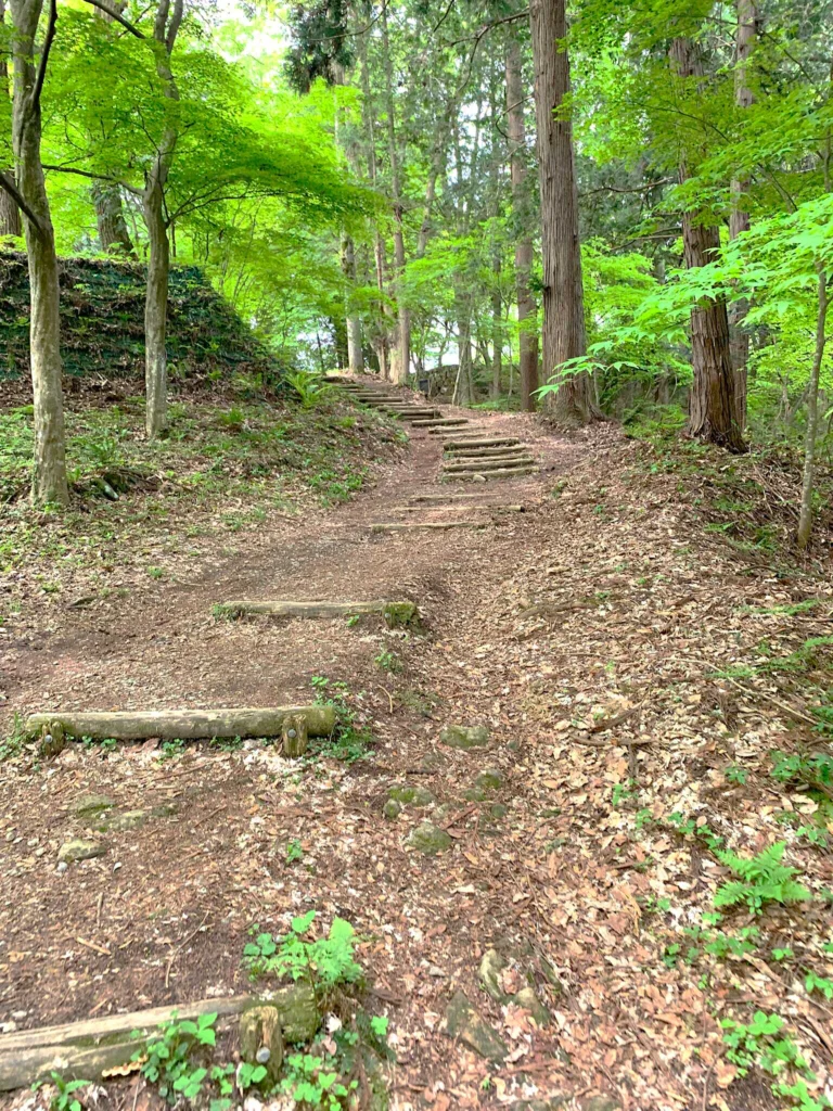 高山城 東北曲輪跡から本丸方面へ(搦手門から)