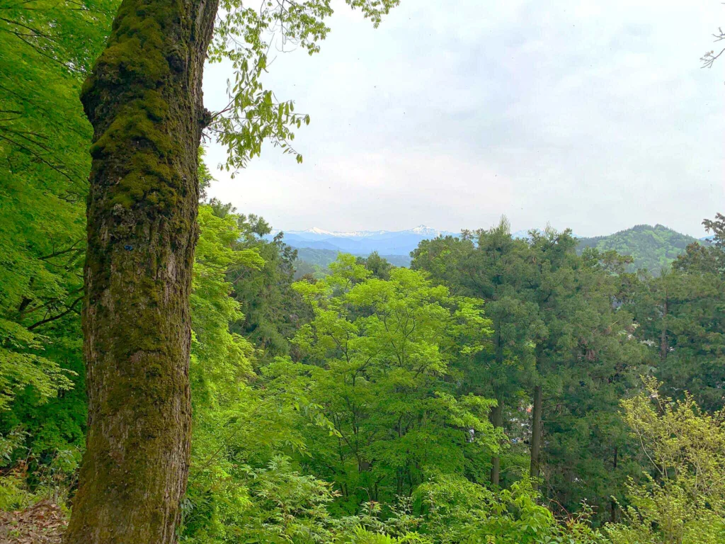 高山城 本丸下段捨間櫓付近からの眺望(北東方面)