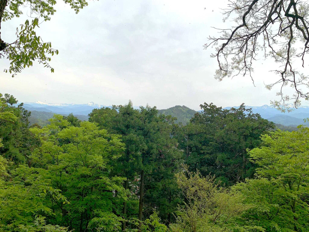 高山城 本丸下段捨間櫓付近からの眺望(北東方面)