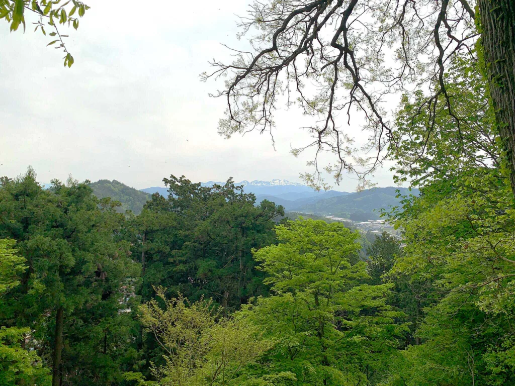 高山城 本丸下段捨間櫓付近からの眺望(北東方面)