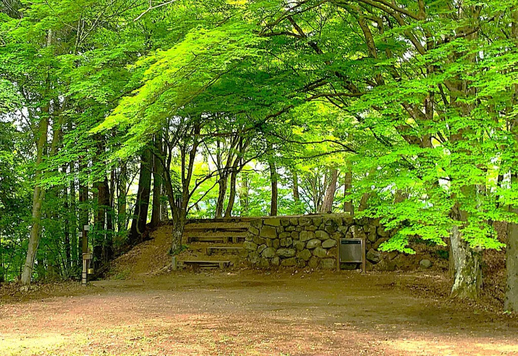 高山城 本丸上段