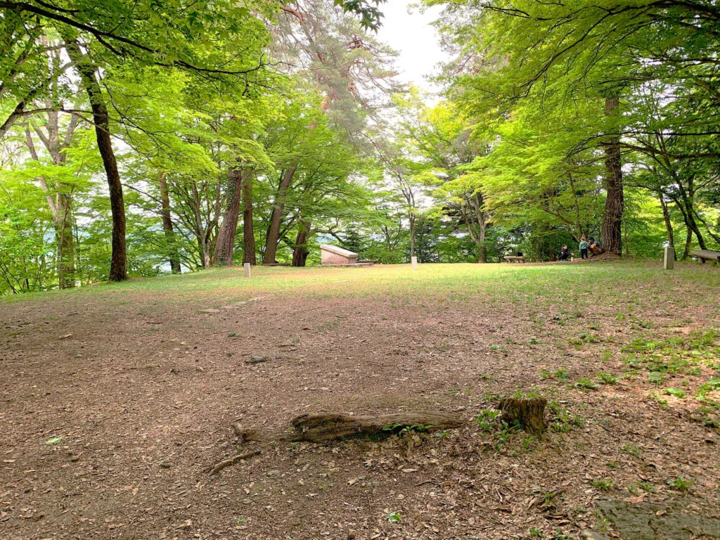 高山城 本丸上段(玄関付近から南西方面)