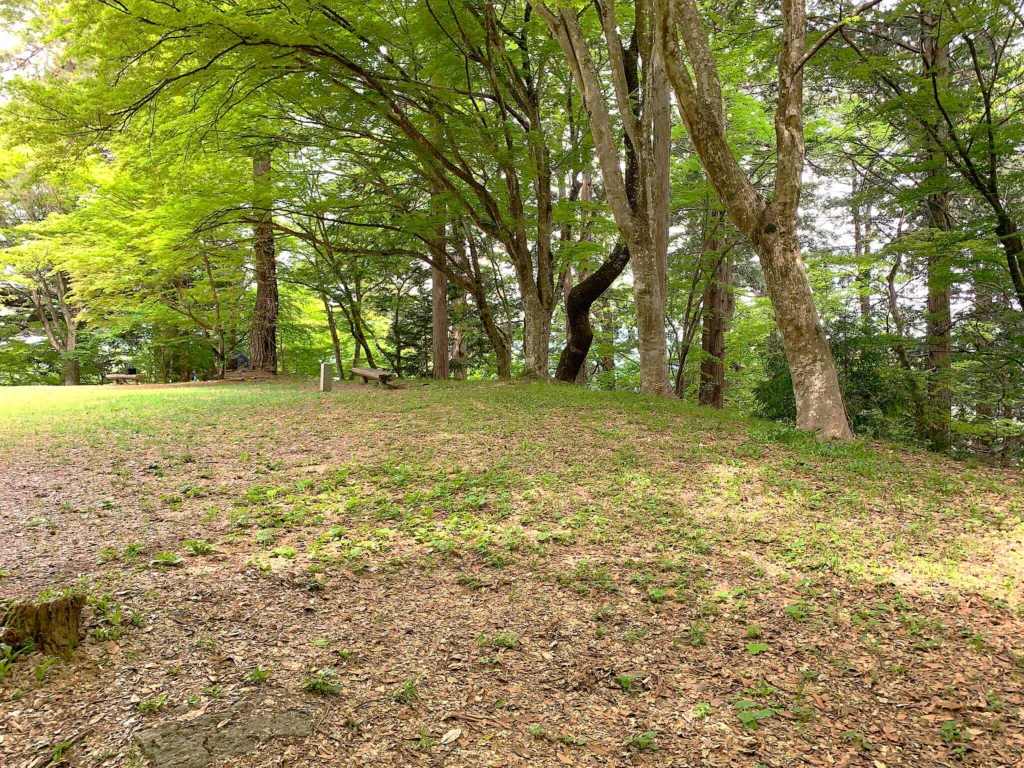 高山城 本丸上段(玄関付近から南西方面)