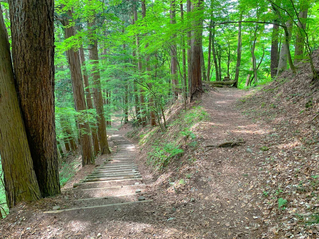 高山城 本丸下段からもみの木平・南之出丸方面へ