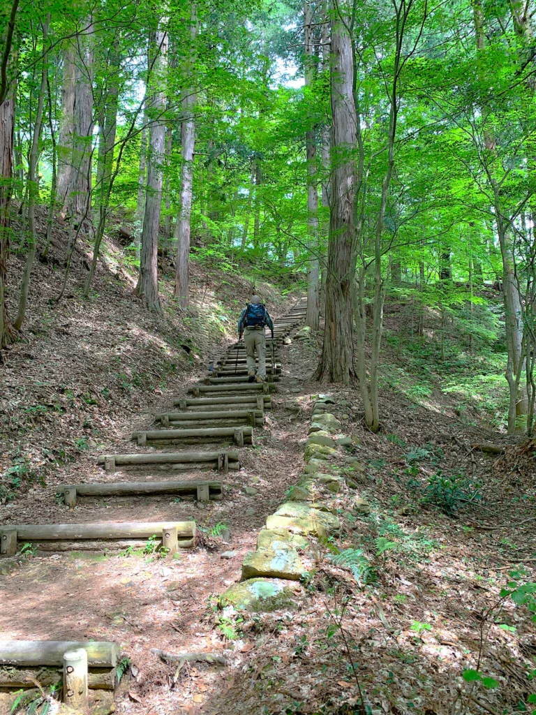 高山城 本丸下段からもみの木平・南之出丸方面の階段を、途中振り返って見上げる