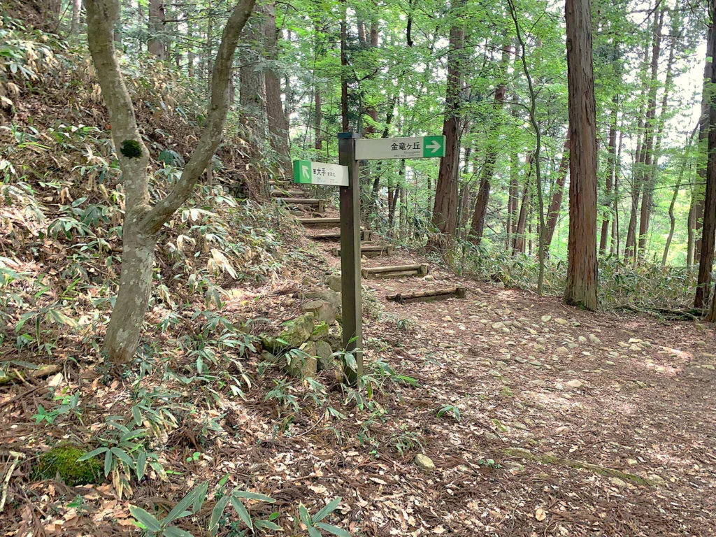 高山城 もみの木平・南之出丸から大手門方面へ