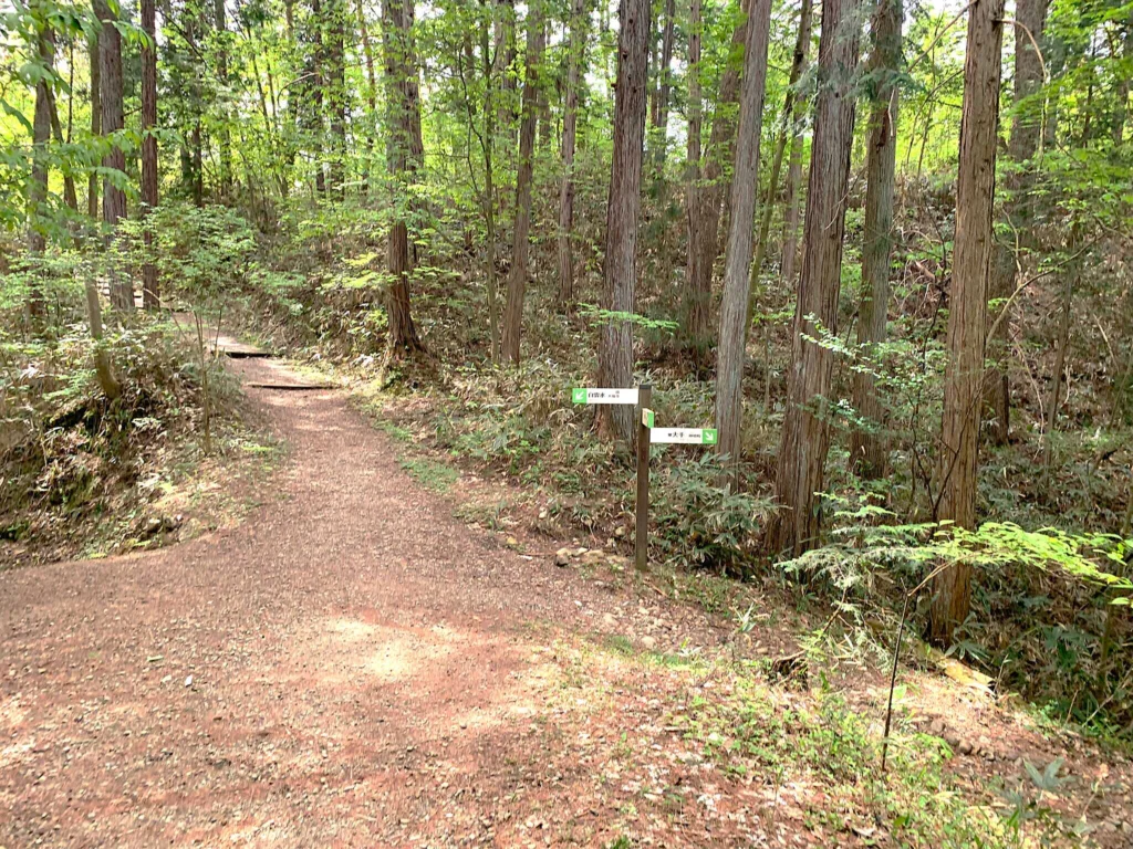 高山城 もみの木平・南之出丸から大手門方面へ