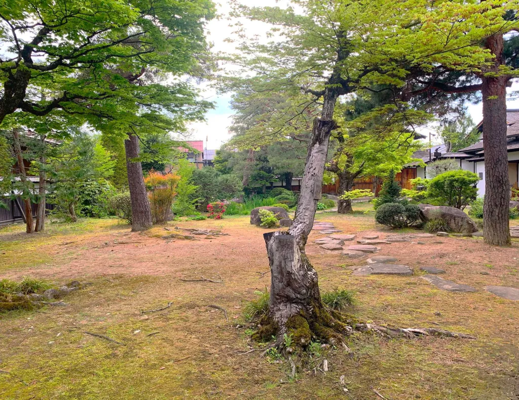 高山陣屋　大広間脇の廊下からお庭の様子