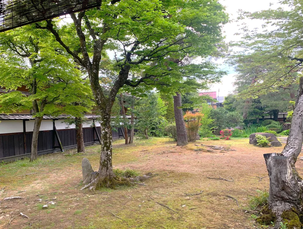 高山陣屋　大広間脇の廊下からお庭の様子