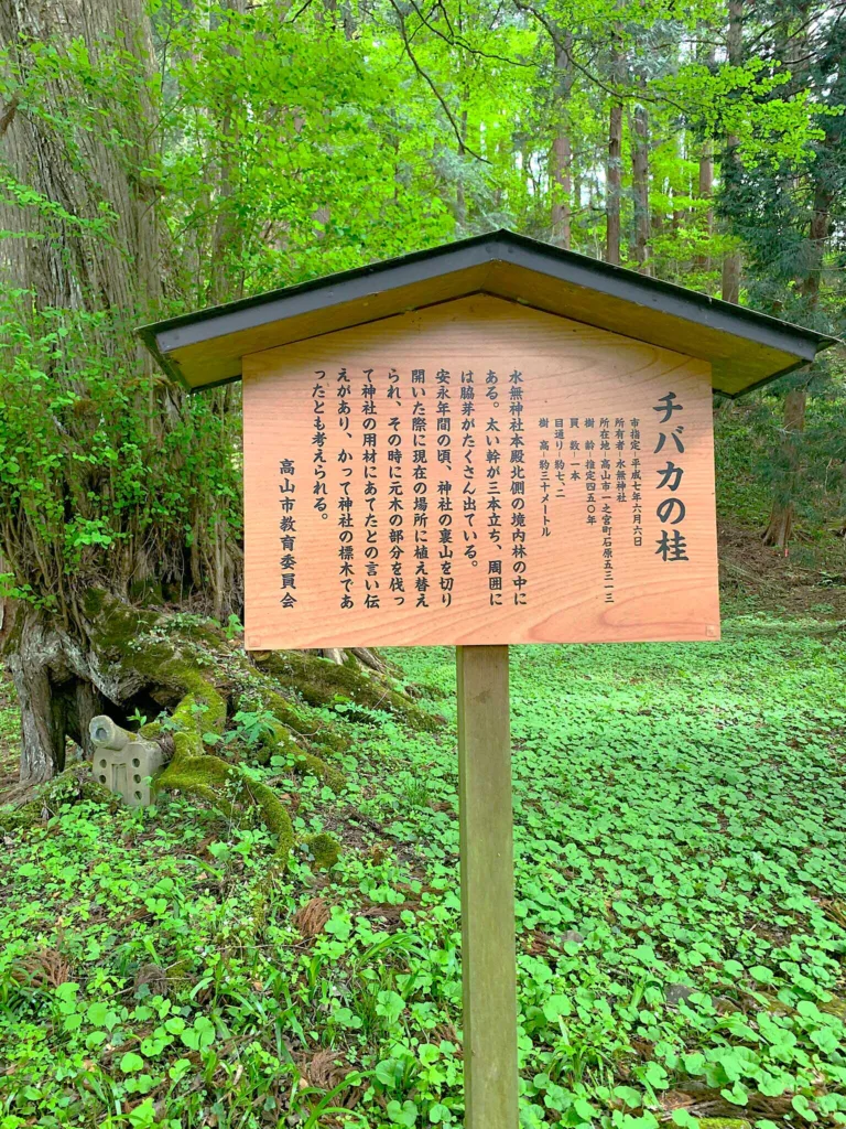 水無神社 北参道付近