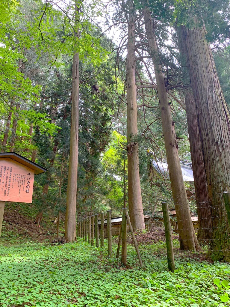 水無神社 北参道付近