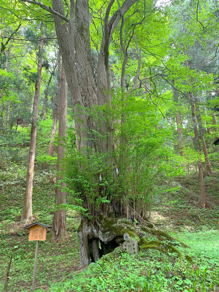 水無神社 北参道付近