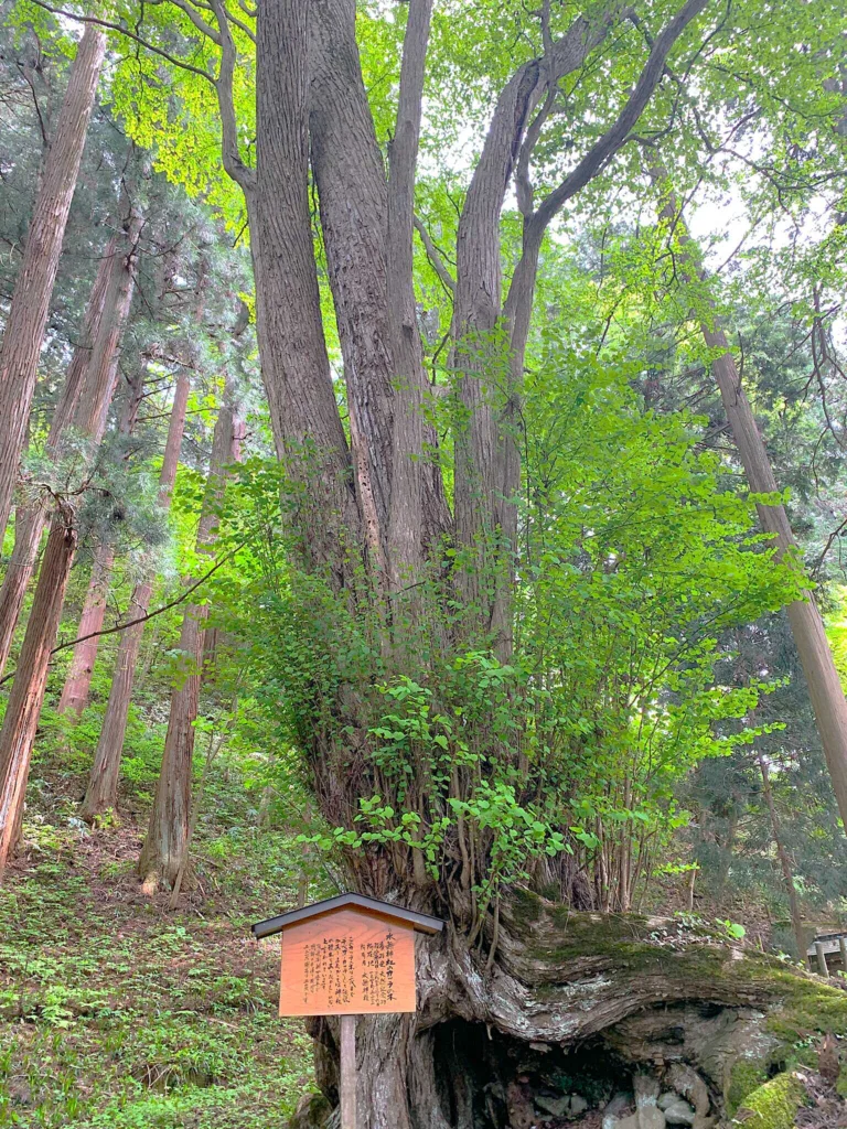 水無神社 北参道付近