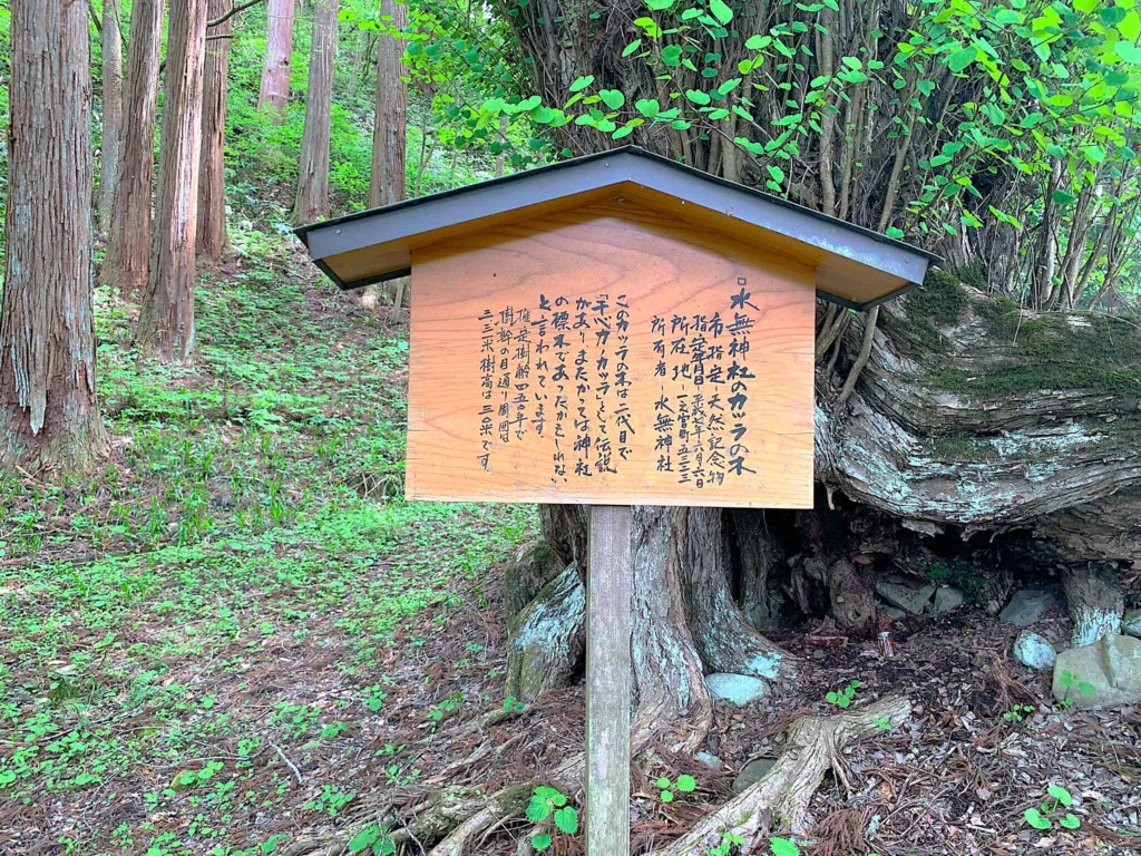 水無神社 北参道付近