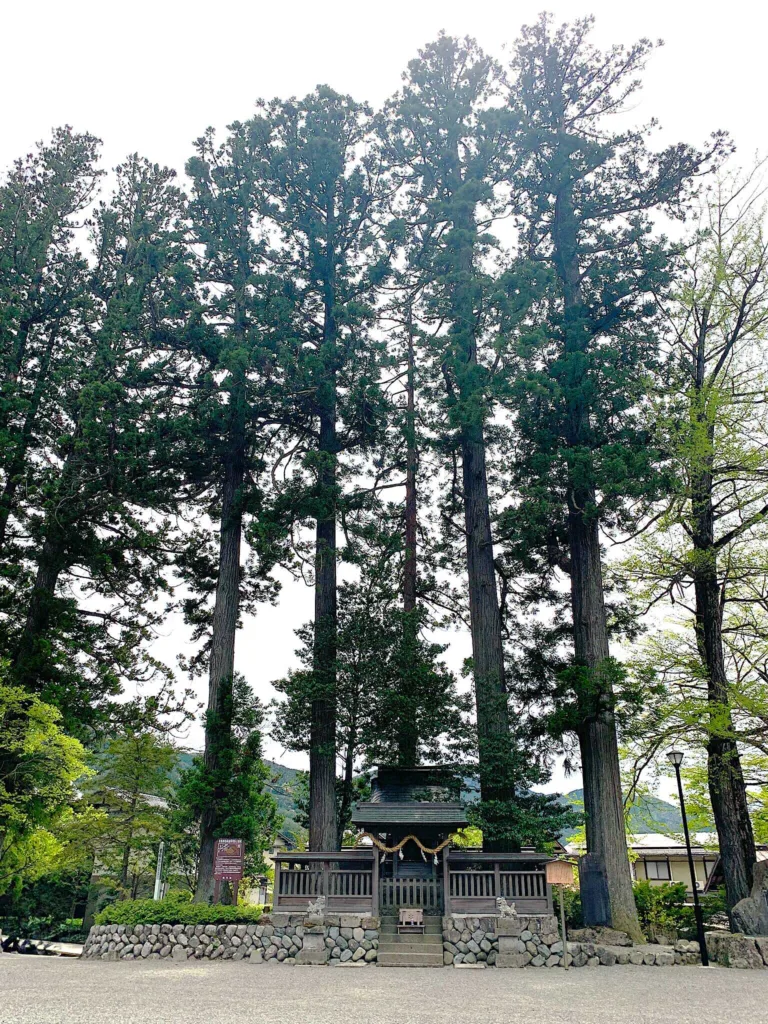 水無神社　白川神社