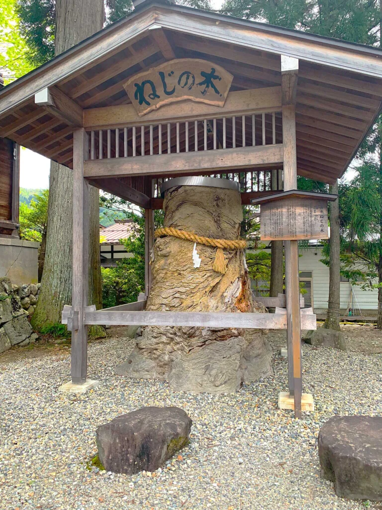 水無神社　ねじの木