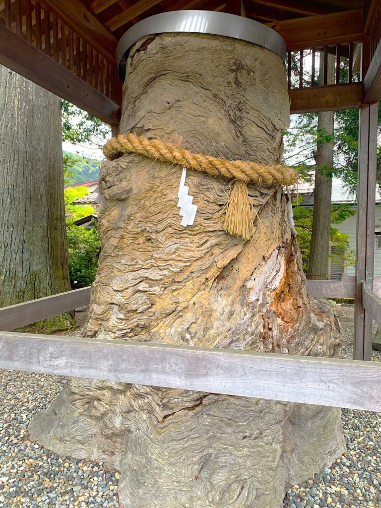 水無神社　ねじの木