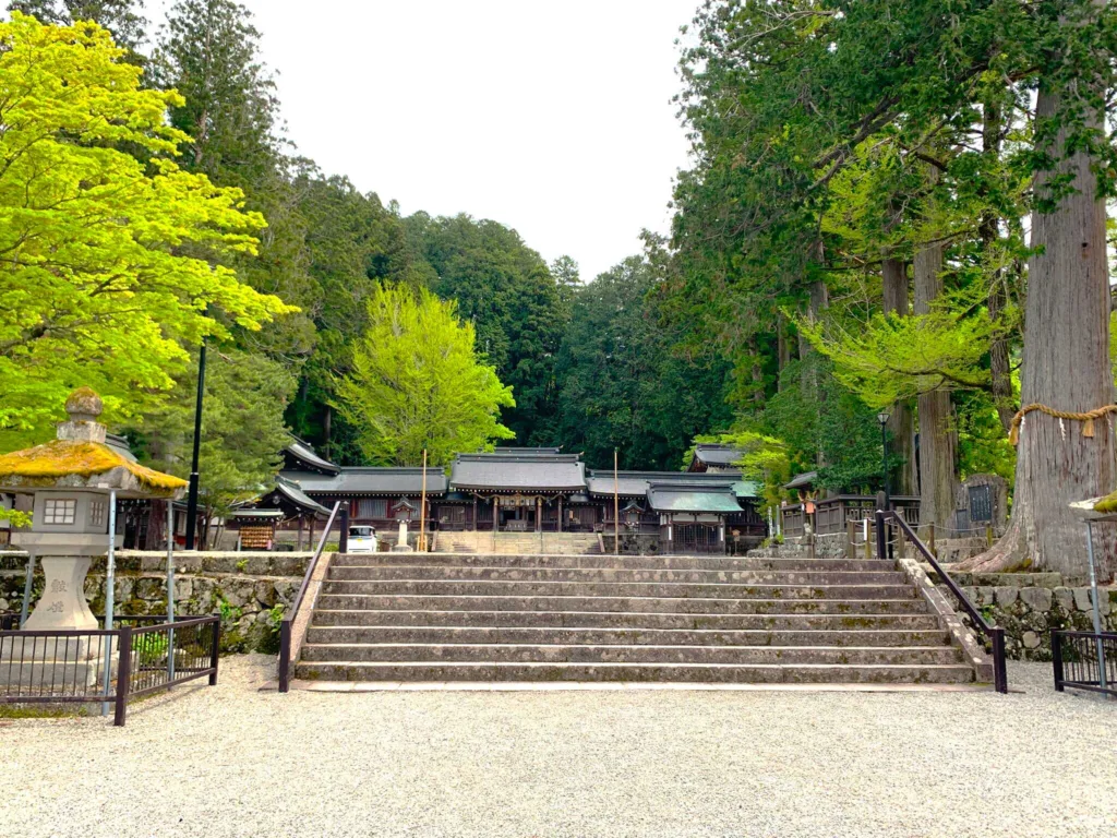 水無神社　鳥居近くから本殿方面